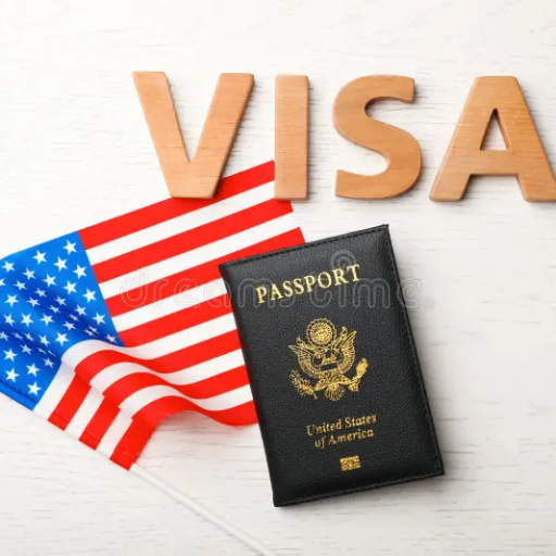 visa problems